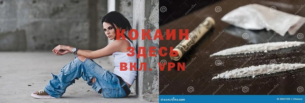 стаф Балахна