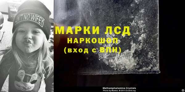 стаф Балахна