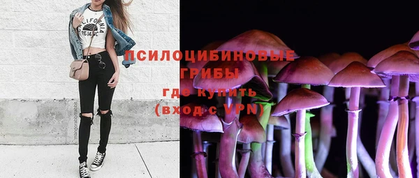 стаф Балахна