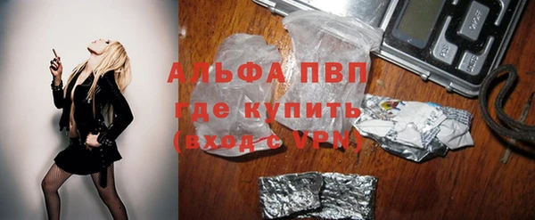 стаф Балахна