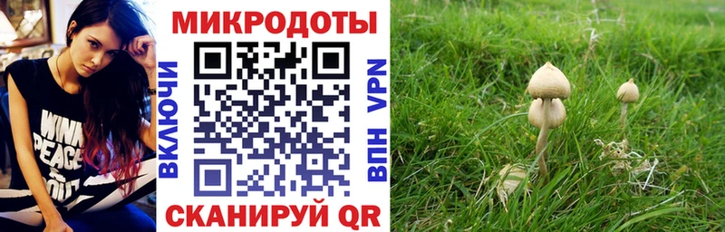 Псилоцибиновые грибы мицелий  гидра ТОР  Бирск  купить наркоту 